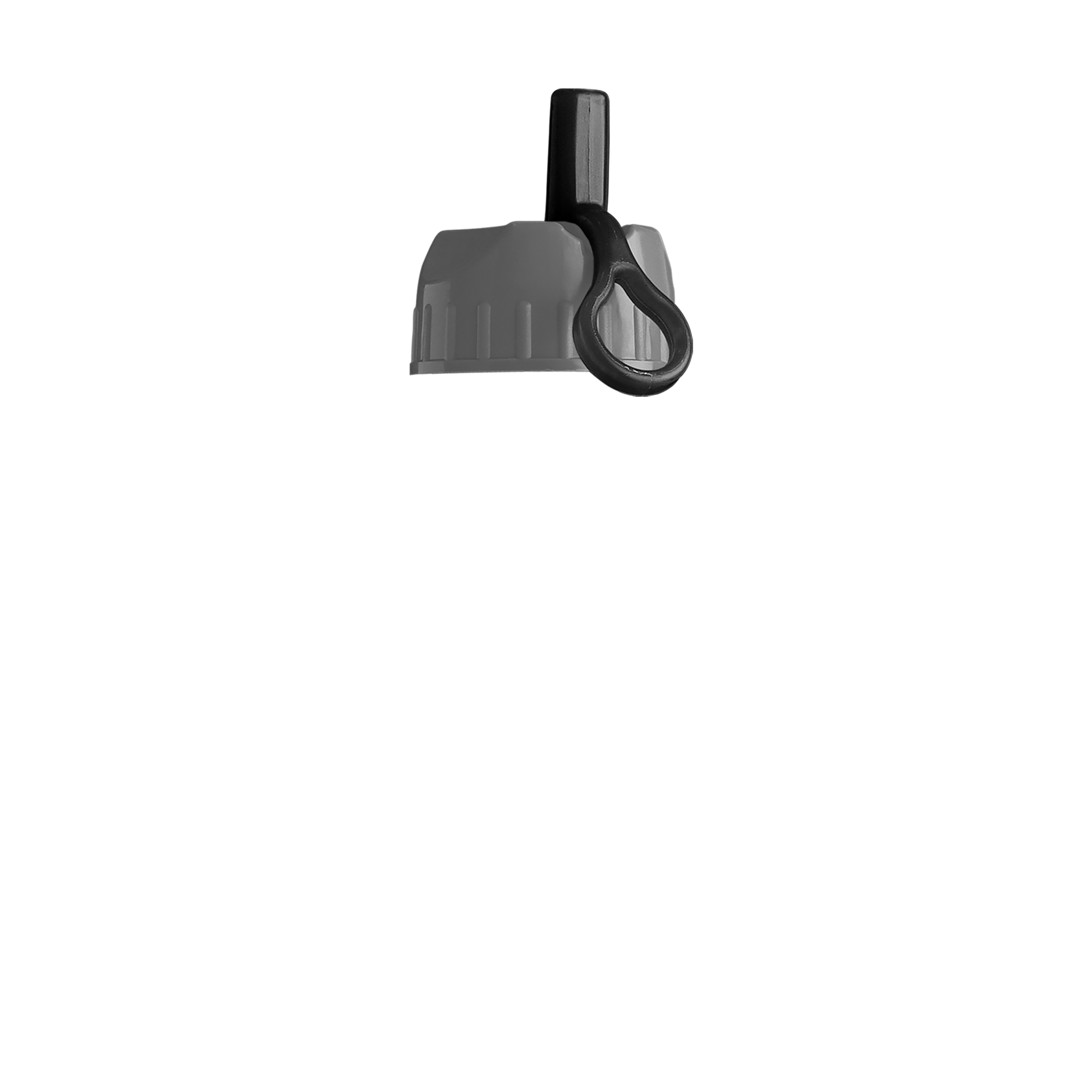 Garyline® Poly+ Recycled Bottle with Ring-Straw Lid - 27 oz.